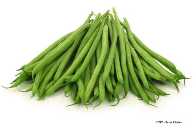 images_haricots-verts